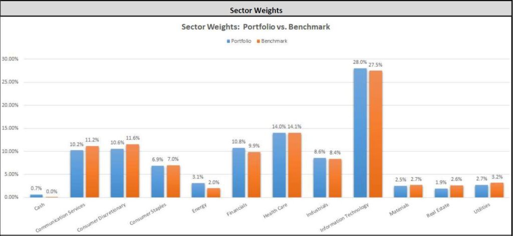 Sector Weights Nov. 2020